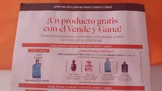 ENTRENOS CAMPAÑA 5 YANBAL 2025