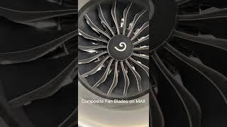Easily Identify AA 737 MAX vs NG #shorts #aviation