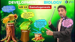 CSIR NET JUNE 2025 I Developmental Biology I Lecture 13 I Gametogenesis Germ cells Role I IFAS