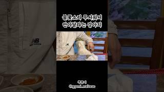 #소리 가 #무서워 서 안아달라는 #강아지