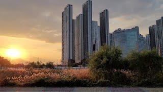 Evening walk - Sunset / Goyang City, Ilsan District. October 2021 / Virtual Korea