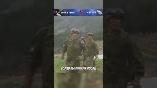 Эта невинная собака спасла жизнь своему хозяину 