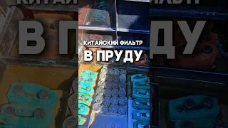 Сколько нужно китайских фильтров в пруду?