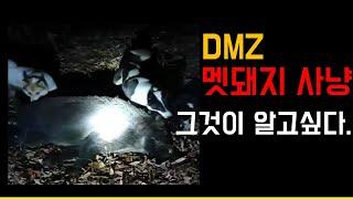 리얼깽TV [DMZ 멧돼지사냥 그것이알고싶다] -라이카와 함께하는 멧돼지사냥. 아프리카 돼지열병 퇴치!! 유해조수!