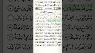 سورة الغاشية من الآية ١ الى الآية ١٢ بصوت سعد الغامدي بالتكرار | احفظ بسهولة واستمع بتدبر