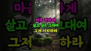 마음 편하게 살고 싶은 그대여, 그저 이리하라 #부처님말씀 #마음공부 #불교 #명상 #불교명언 #삶의지혜