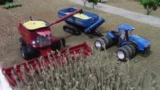 Brandon Keown Farm Display at the Evansville Show