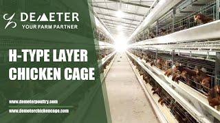 Layer Chicken Cage for Poultry Farming--H Type Layer Chicken Cage