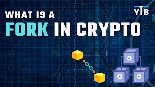 What Is a Fork in Crypto | A Simple Explanation | YouTradeBiz