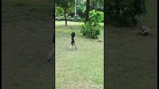 We made a wish and you came true#youtubeshorts #shortvideo #viral #shorts