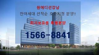 원에디션강남 회사보유분 특별분양