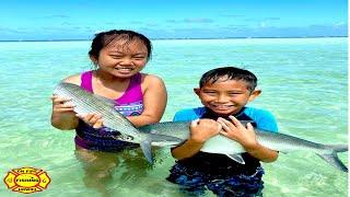 EPIC SURPRISE CATCH WHILE DUNKING WITH MY KIDS, HAWAII FISHING, CATCH AND COOK, Ep112