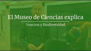 El Museo de Ciencias explica - Insectos y Biodiversidad