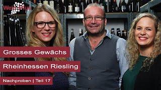 Grosses Gewächs I Nachproben (17) I Rheinhessen Riesling I Wein-Plus