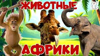 Животные Африки. Развивающее видео о животных и звуки животных для детей