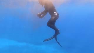 Dive Buddies | Hawaii Spearfishing 2020