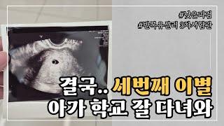 [시험관 VLOG] 작은 아기집 큰난황ㅣ세번째 이별ㅣ계류유산ㅣ아기가 떠나기 전 꿈에 나와줬어요