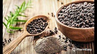 GURANSH Black Pepper Powder | TASTE OF INDIANS #business #blackpepperbenefits #blackpepperpowder