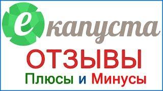 Екапуста - отзывы заемщиков, должников и наши выводы о займах в этом МФО