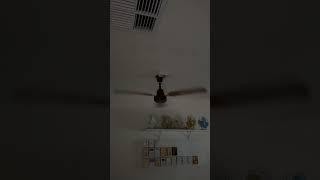 Mistral LARV48BN ceiling fan on medium