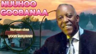 Nuuhoo Goobanaa | Numaan obsa yoon wayawe | old oromoo music