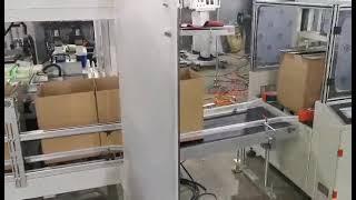 Full Automatic Carton case Packer