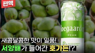 【편맥】역대 호가든 시리즈 중 최고일까!? | 호가든 페어 - 명품맥덕