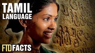 The Real History of The Tamil Language