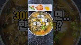 국밥 3000원 맞나?! 가성비 끝판왕 착한식당에서 든든하게..  #부산맛집 #그니가니