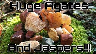 Rockhounding Oregon | Searching for Jasper & Agates, Biggest Jaspers & agates I've found!!!