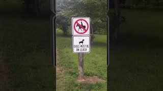 No Horses Allowed