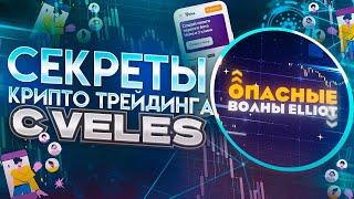 Veles – ключ к прибыльному крипто трейдингу для новичков