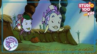 The Vacation - E48 -  RAINBOW FISH - STUDIO100 miniKIDS - KIDS CARTOONS