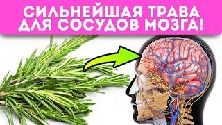 Даже пара веточек розмарина запускает в организме необратимые процессы! Суставы, ЖКТ, сосуды…