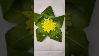 Background design ideas using Mango leaves#ecofriendlydecor #art #mangoleaves #diy
