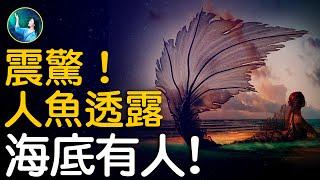 人類意外捕獲人魚，揭示天機…柏拉圖說的是真的嗎？美國預言家凱西，哪裡來的神奇能力？20年解讀，深度解讀亞特蘭蒂斯高度發達的文明。海底文明存在嗎？有人嗎？| #未解之謎 扶搖