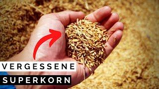 Superfood EINKORN + kurze GLUTEN AUFKLÄRUNG!