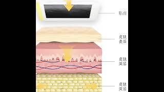 蒙正品奧神蒙古黑膏頸椎腰間盤痛澳神老黑膏貼