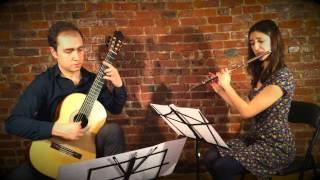 Ständchen from "Schwanengesang" by Franz Schubert performed by Redbrick Duo