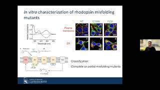 Paul Shin-Hyun Park, PhD