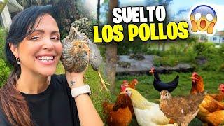 SOLTAMOS LOS POLLITOS y QUÉ MIEDO  Sandra Cires Vlog