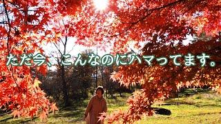 [Episode 181] Beautiful autumn foliage in the southern foot of Mt. Yatsugatake