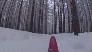 Skiing in the winter forest in the north of Russia. [Катание на лыжах в зимнем лесу в Карелии]