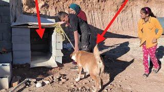 From Danger to Safety: Afsaneh Rescues a Pregnant Dog ,, Her Kind Heart