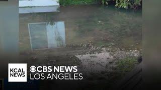 Murrieta homeowners frustrated by mysterious groundwater constantly leaking under their homes