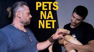 ENTREVISTA COM PETS NA NET | PEGOU A COBRA | RICHARD RASMUSSEN