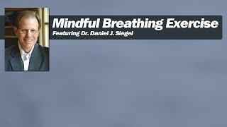 Mindful Breathing with Dr. Daniel J. Siegel