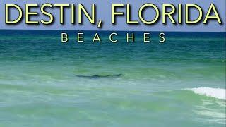 Stay SAFE at Destin, Florida Beaches! Important Tips