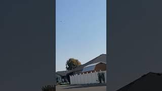 I don’t think the neighbors like me