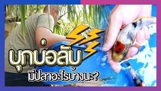 บุกบ่อลับ ตักปลามาอัพเดทกันสักหน่อย | The PETTO EP.124